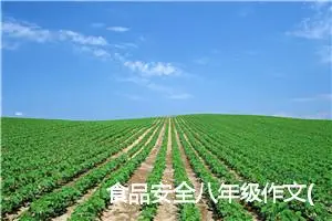 食品安全八年级作文(精选5篇)