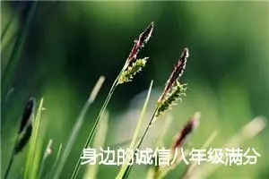 身边的诚信八年级满分作文(精选5篇)