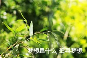 梦想是什么_追寻梦想的作文(精选5篇)