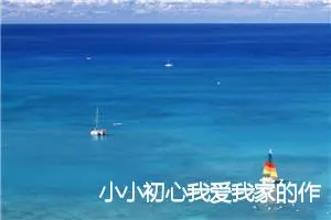 小小初心我爱我家的作文三年级(精选5篇)