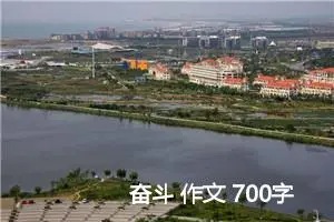 奋斗 作文 700字