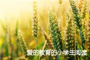 爱的教育的小学生阅读笔记