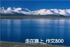 走在路上_作文800字