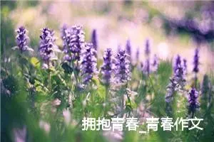拥抱青春_青春作文
