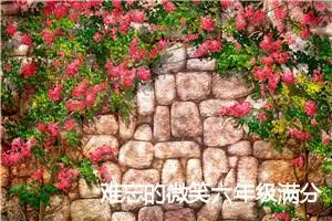 难忘的微笑六年级满分作文(精选5篇)