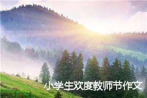 小学生欢度教师节作文