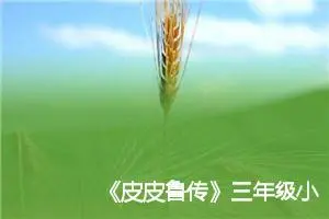 《皮皮鲁传》三年级小学生读书笔记