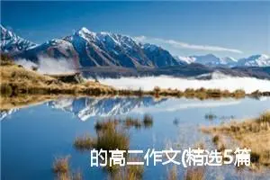 的高二作文(精选5篇)