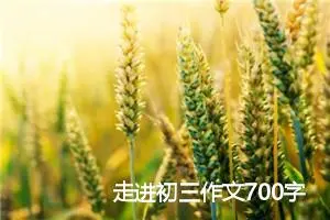 走进初三作文700字(精选5篇)