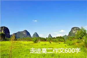 走进高二作文600字(精选5篇)