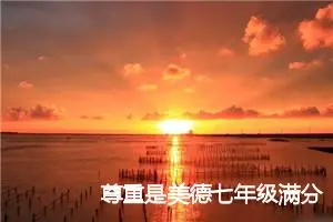 尊重是美德七年级满分作文(精选5篇)