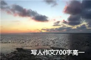 写人作文700字高一(精选5篇)
