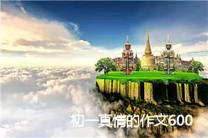 初一真情的作文600字(精选5篇)