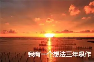 我有一个想法三年级作文(精选7篇)