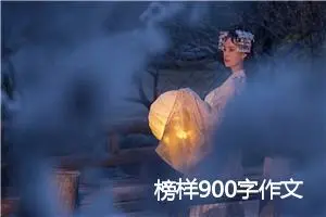 榜样900字作文