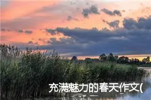 充满魅力的春天作文(精选5篇)