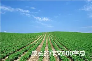 成长的作文600字总结(精选5篇)