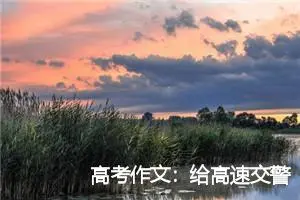 高考作文：给高速交警的一封信(精选1篇)