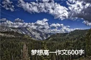梦想高一作文600字(精选5篇)
