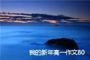 我的新年高一作文800(精选5篇)