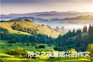除夕之夜看烟花的作文