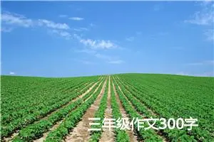 三年级作文300字