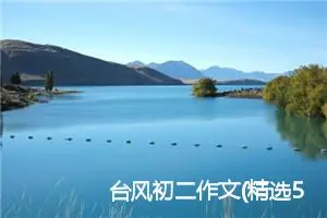 台风初二作文(精选5篇)