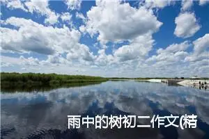 雨中的树初二作文(精选5篇)