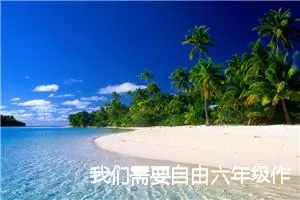 我们需要自由六年级作文(精选5篇)
