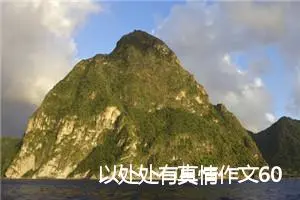 以处处有真情作文600字(精选5篇)