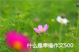 什么是幸福作文500字(精选5篇)