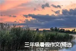 三年级暑假作文(精选10篇)