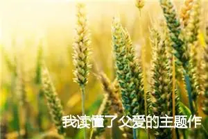 我读懂了父爱的主题作文(精选5篇)