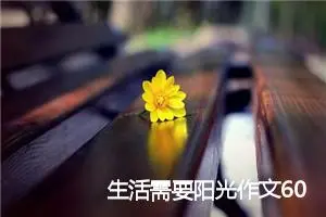 生活需要阳光作文600字左右(精选5篇)