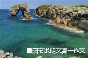 重阳节说明文高一作文(精选8篇)