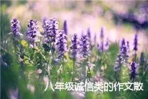 八年级诚信类的作文散文(精选5篇)