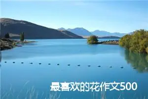 最喜欢的花作文500字(精选5篇)