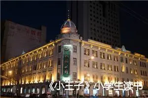 《小王子》小学生读书笔记