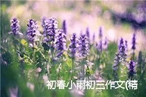 初春小雨初三作文(精选5篇)