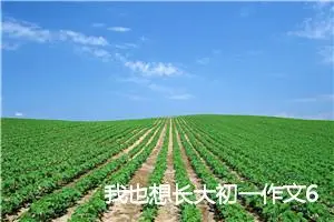 我也想长大初一作文600字(精选5篇)