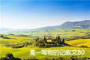 高一写物的记叙文800字作文(精选5篇)