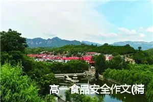 高一食品安全作文(精选5篇)