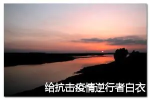 给抗击疫情逆行者白衣天使的一封信600字作文