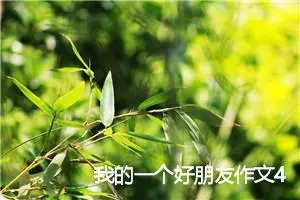 我的一个好朋友作文400字(精选6篇)