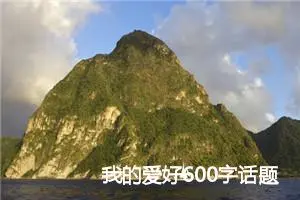 我的爱好600字话题作文(精选5篇)