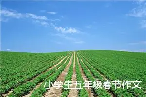 小学生五年级春节作文(精选5篇)