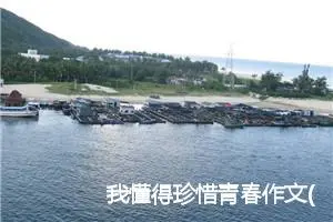 我懂得珍惜青春作文(精选5篇)