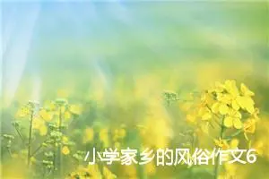 小学家乡的风俗作文600字(精选10篇)