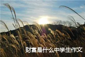 财富是什么中学生作文(精选5篇)