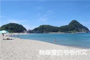 我亲爱的爷爷作文